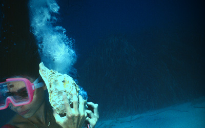 prenotazioni@seacilia.it